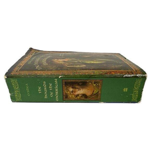 The Hounds of the Morrigan paperback book Pat O'shea fantasy grade 6 - 9 youth - Picture 5 of 7